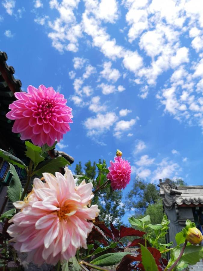 Chengde Kai Ren Hua Fu Inn Bi Shu Shan Zhuang Dian Экстерьер фото
